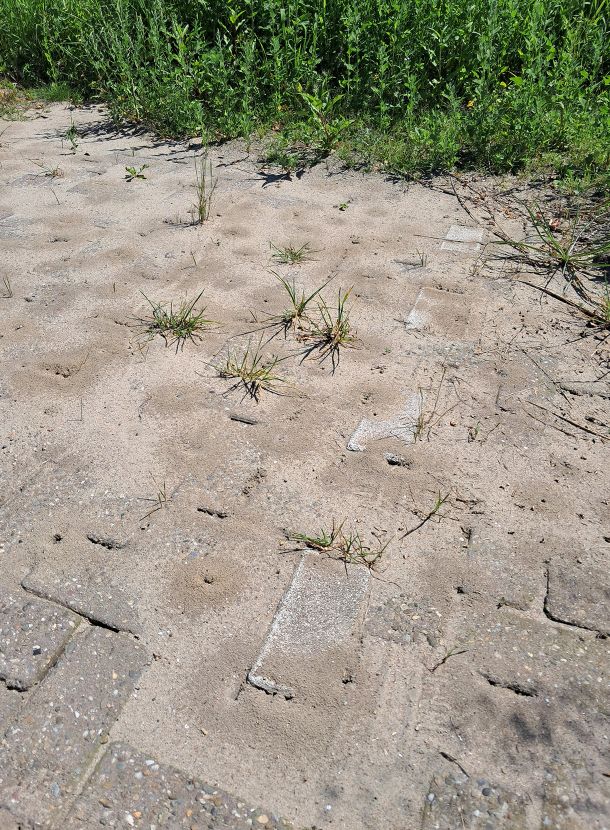 Mediterraan Draaigatje Dreevers